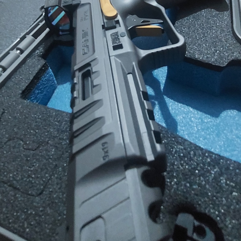 Canik Rival Grey