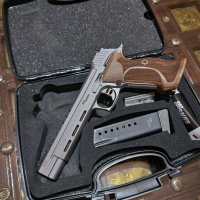 Sig Sauer P210 supertarget X-SİX skeleton