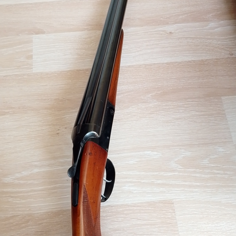 77 robust temiz