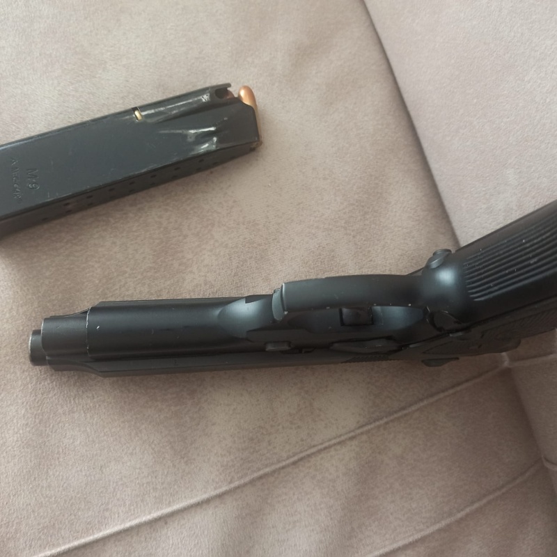 Beretta FS 19