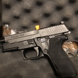 USA SİG SAUER P229