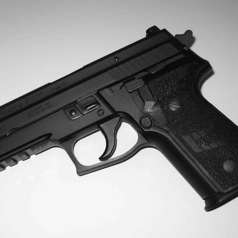 Tertemiz Sig Sauer P229